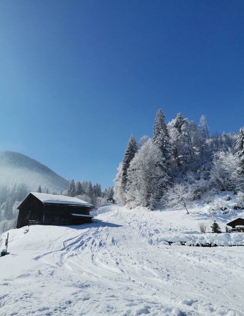 winterwanderung_lindauer_4