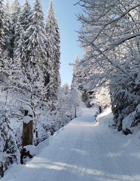 winterwanderung_lindauer_6