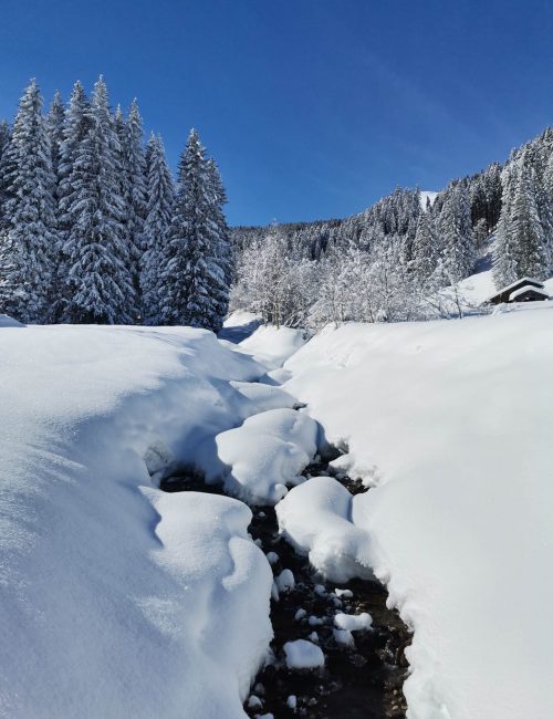winterwanderung_lindauer_9